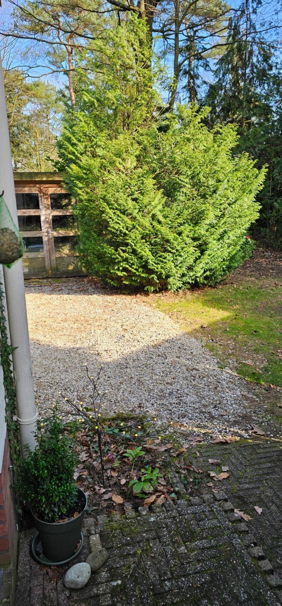 Dennenhuis Vaassen Exteriör bild
