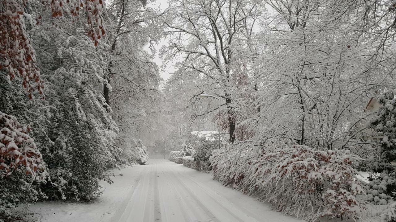Dennenhuis Vaassen Exteriör bild